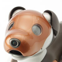 ソニー AIBO アイボ チョコレートエディション 犬 ペットロボット 家電 