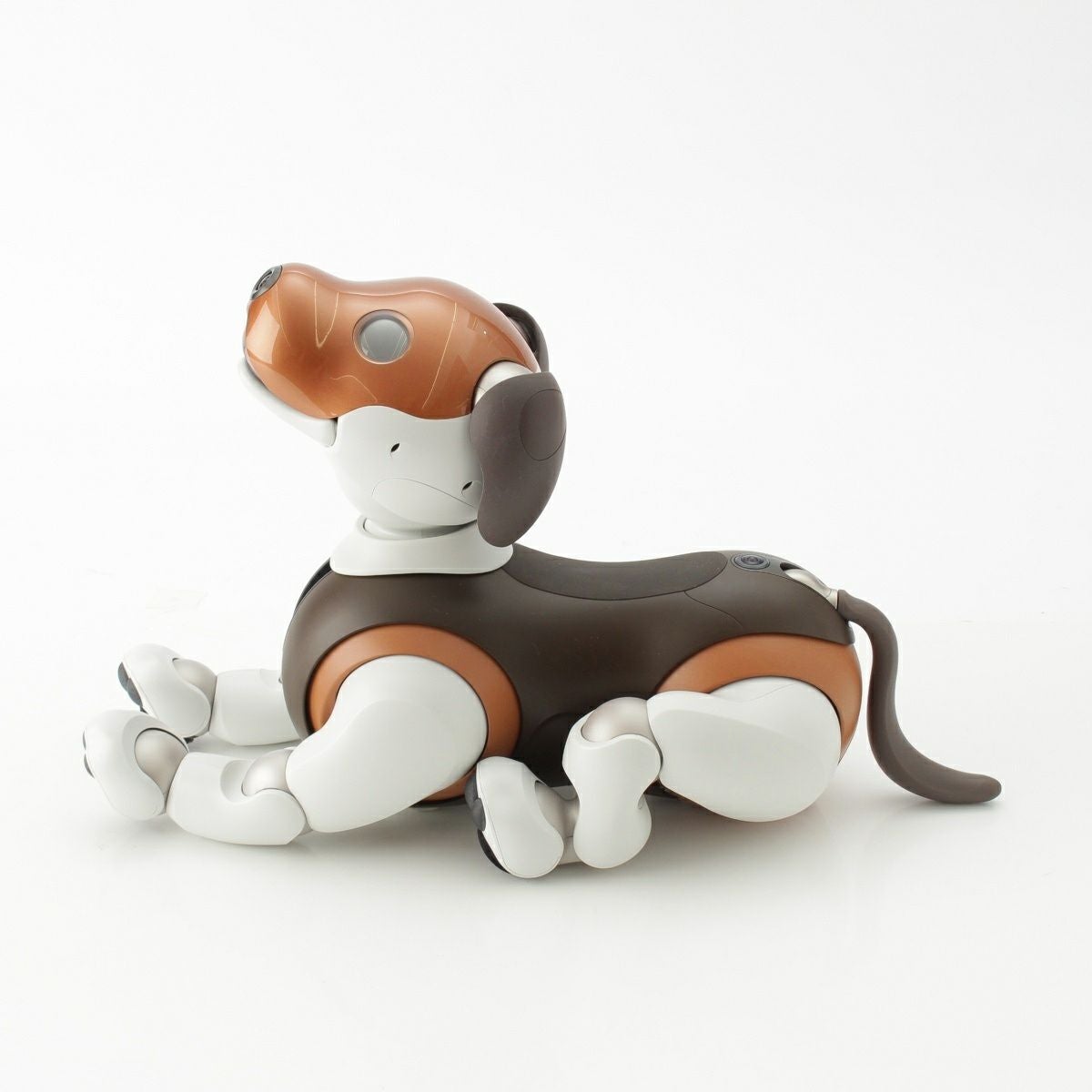 ソニー AIBO アイボ チョコレートエディション 犬 ペットロボット 家電