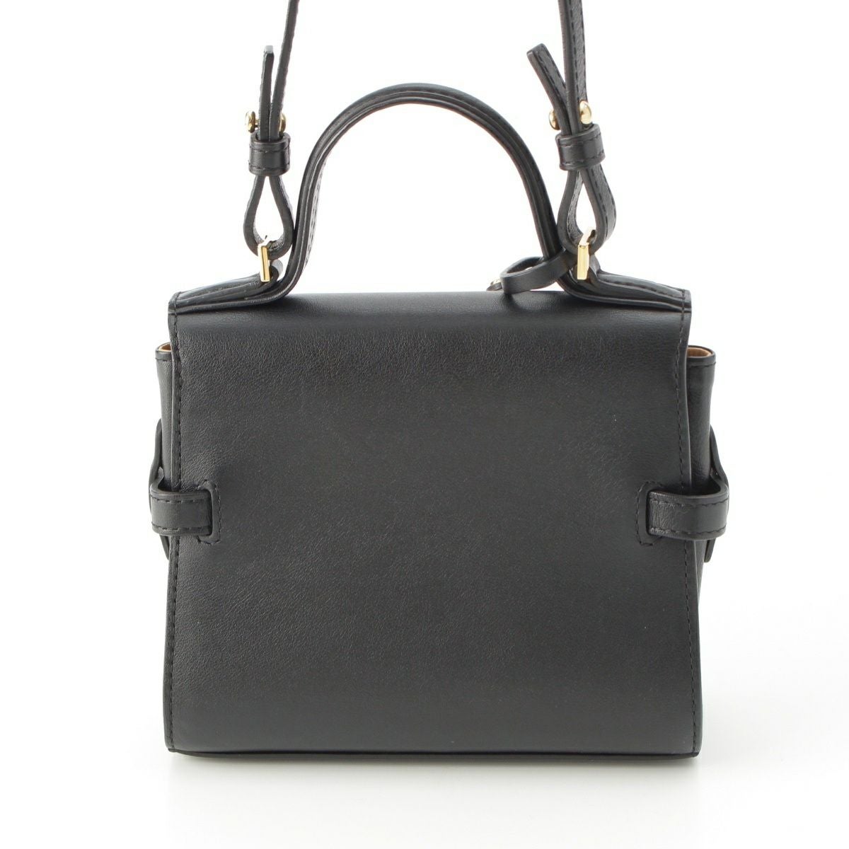 極美品■デルヴォー タンペートPM ショルダーバッグ 2WAY ハンドバッグ 黒 極美品□デルヴォー タンペートPM ショルダーバッグ 2WAY ハンドバッグ