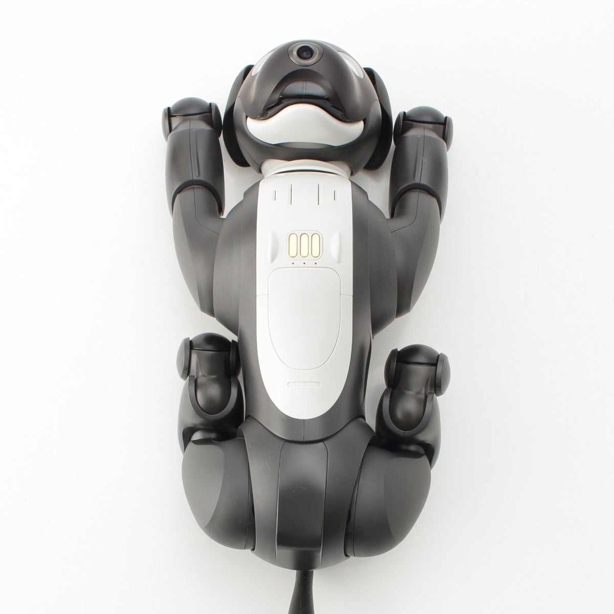 ソニー アイボ AIBO エスプレッソエディション 家電 ペットロボット 犬