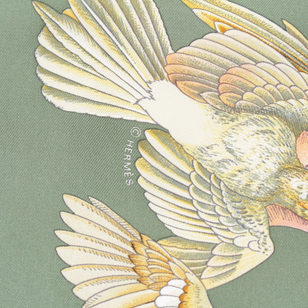 エルメス カレ90 L'intrus 侵入者 シルク 鳥 スカーフ グリーン | 中古