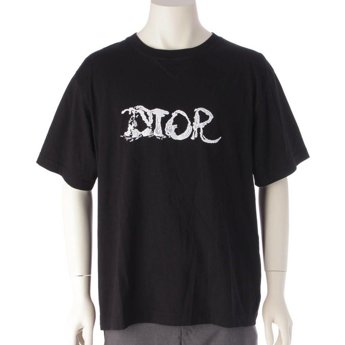 ディオール DIOR メンズ 21AW Peter Doig ピーター ドイグ ロゴ