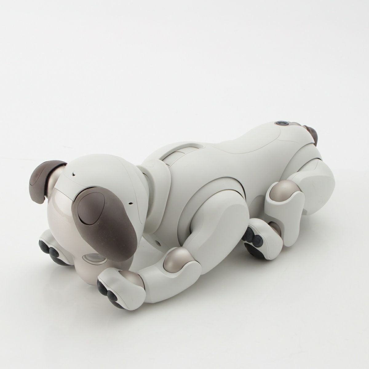 ソニー アイボ aibo 犬 ペットロボット 家電 ERS-1000 ホワイト | 中古